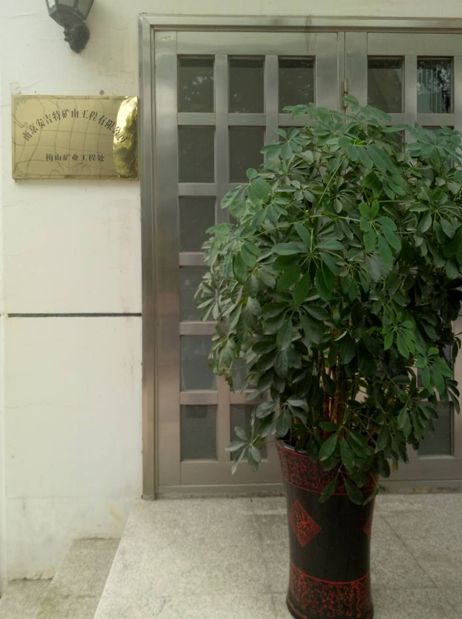 绿色植物净化空气.jpg